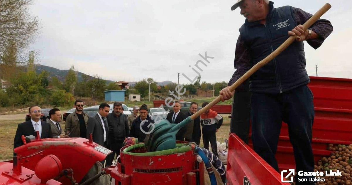 AFYONKARAHİSAR'IN DİNAR İLÇESİNDE CEVİZ HASADI BAŞLARKEN, REKOLTENİN BU YIL ÇİFTÇİLERİ MEMNUN ETTİĞİ BELİRTİLDİ.