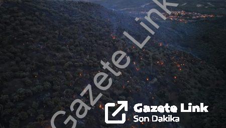 Aydın Bozdoğan’daki Orman Yangınında Son Durum: Alevler Kontrol Altında