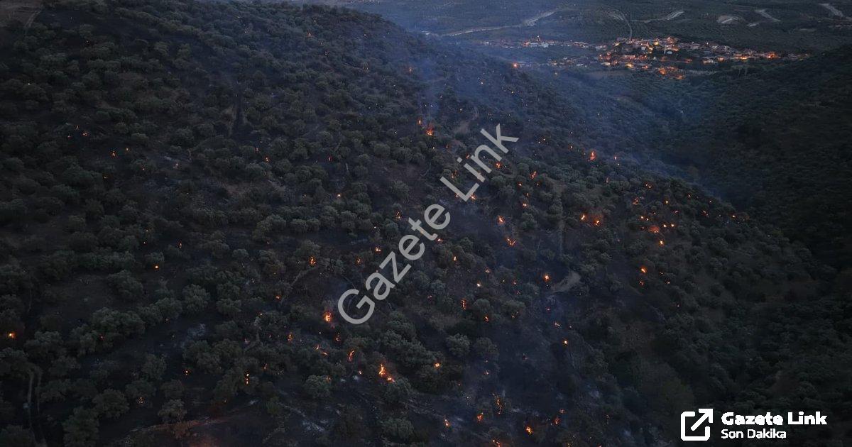 "Aydın Bozdoğan'daki Orman Yangınında Son Durum: Alevler Kontrol Altında" başlıklı haber için fotore