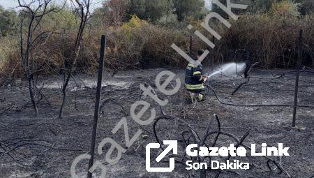 Muğla Yatağan’da Korkutan Yangın: Üzüm Bağları ve Kuru Otlar Zarar Gördü