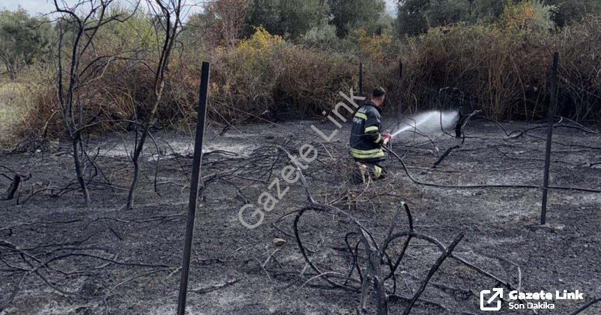 "Muğla Yatağan'da Korkutan Yangın: Üzüm Bağları ve Kuru Otlar Zarar Gördü" başlıklı haber için fotor