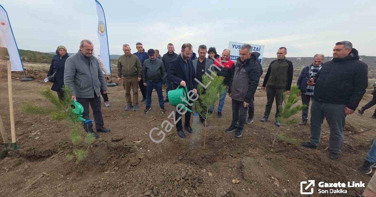 "Kütahya'da Vefa: Yusuf Sezai Sevil Anısına Yüzlerce Fidan Dikildi" başlıklı haber için fotorealisti