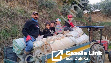 Sarıgöl’de Hasat Bitti, Örtü Mesaisi Başladı: Bağlarda Yoğunluk