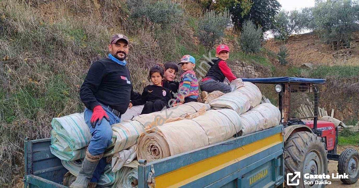 "Sarıgöl'de Hasat Bitti, Örtü Mesaisi Başladı: Bağlarda Yoğunluk" başlıklı haber için fotorealistik,