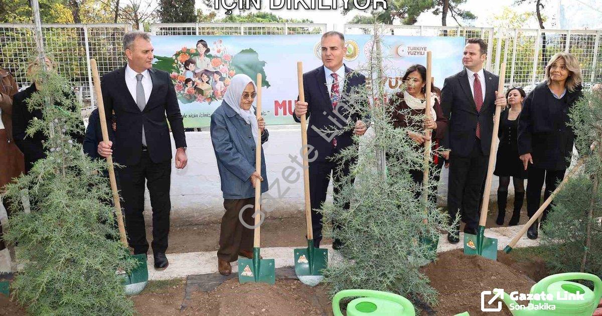 "Muğla’da 16 Bin 453 Fidan Öğretmenler İçin Dikiliyor" başlıklı haber için fotorealistik, profesyone