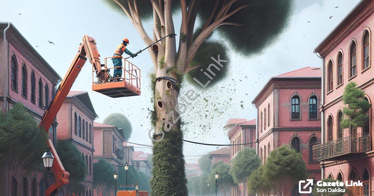 "Afyonkarahisar’da Cumhuriyet Mahallesi’nde ağaç budama uyarısı" başlıklı haber için fotorealistik,