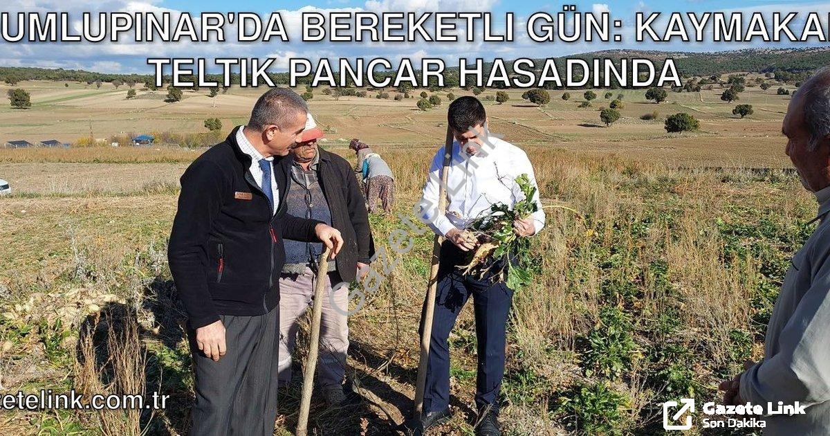 "Dumlupınar'da Bereketli Gün: Kaymakam Teltik Pancar Hasadında" başlıklı haber için fotorealistik, p