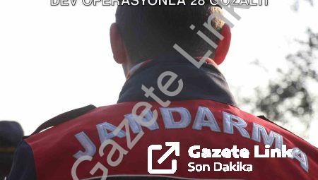 Aydın’da Suçlulara Geçit Yok: Jandarmadan Dev Operasyonla 28 Gözaltı