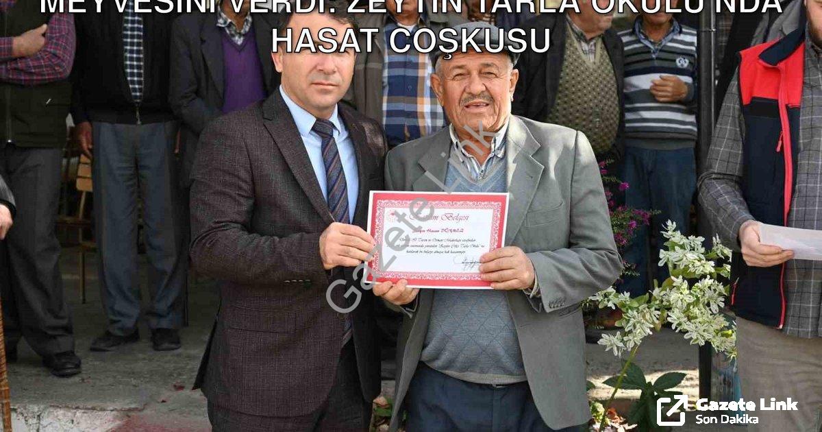 "Denizli Tavas’ta Tarımsal Eğitim Meyvesini Verdi: Zeytin Tarla Okulu'nda Hasat Coşkusu" başlıklı ha