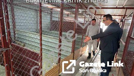 Sarıgöl Kaymakamı Halil Dalak’tan Hayvan Bakımevine Kritik Ziyaret