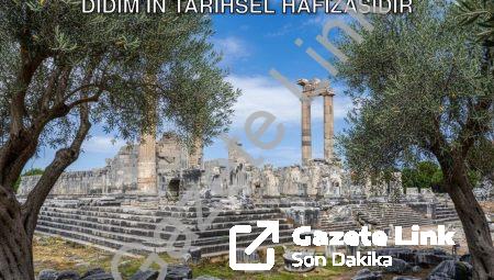 Başkan Gençay Vurguladı: Zeytin Ağacı Didim’in Tarihsel Hafızasıdır