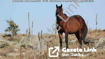 Afyonkarahisar’da Büyüleyen Görüntü: Yılkı Atları ve Bulutların Dansı