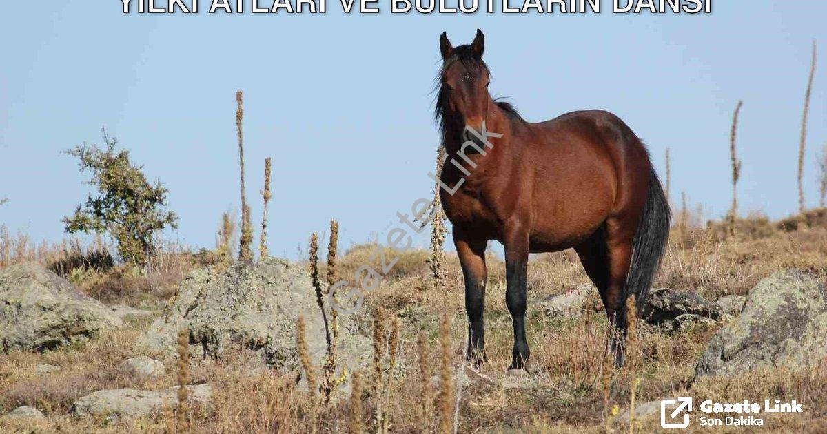 "Afyonkarahisar'da Büyüleyen Görüntü: Yılkı Atları ve Bulutların Dansı" başlıklı haber için fotoreal