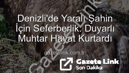 Denizli’de Yaralı Şahin İçin Seferberlik: Duyarlı Muhtar Hayat Kurtardı