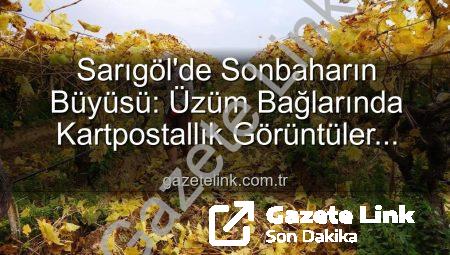 Sarıgöl’de Sonbaharın Büyüsü: Üzüm Bağlarında Kartpostallık Görüntüler Eşliğinde Budama Zamanı