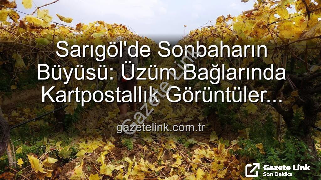 Sarıgöl üzüm bağları - Sarıgöl'de Sonbaharın Büyüsü: Üzüm Bağlarında Kartpostallık Görüntüler Eşliğinde Budama Zamanı