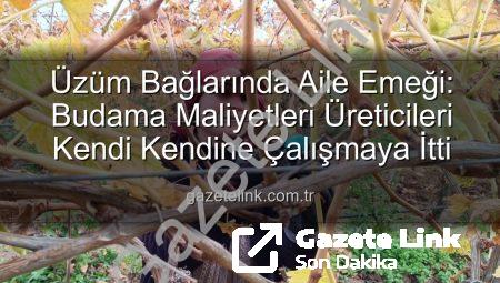 Üzüm Bağlarında Aile Emeği: Budama Maliyetleri Üreticileri Kendi Kendine Çalışmaya İtti