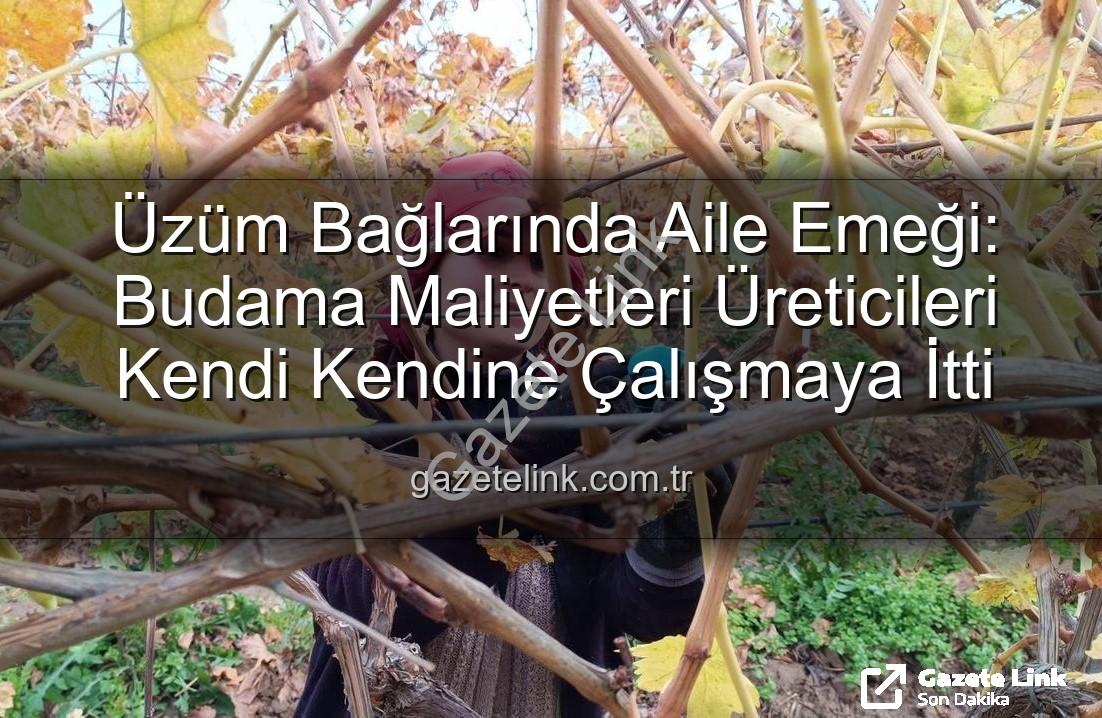 budama maliyeti - Üzüm Bağlarında Aile Emeği: Budama Maliyetleri Üreticileri Kendi Kendine Çalışmaya İtti