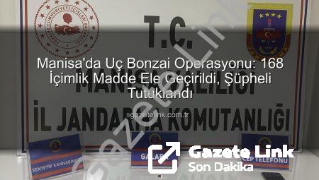 Manisa’da Uç Bonzai Operasyonu: 168 İçimlik Madde Ele Geçirildi, Şüpheli Tutuklandı