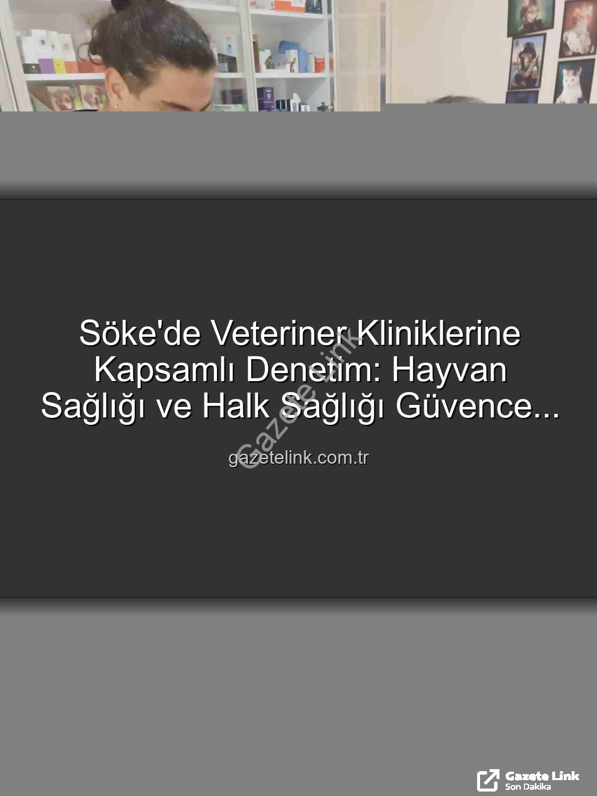 Söke veteriner klinik denetimi - Söke'de Veteriner Kliniklerine Kapsamlı Denetim: Hayvan Sağlığı ve Halk Sağlığı Güvence Altında