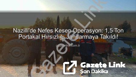 Nazilli’de Nefes Kesen Operasyon: 1,5 Ton Portakal Hırsızlığı Jandarmaya Takıldı!