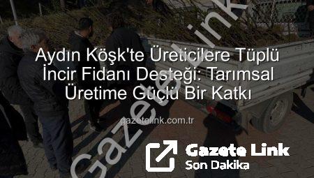 Aydın Köşk’te Üreticilere Tüplü İncir Fidanı Desteği: Tarımsal Üretime Güçlü Bir Katkı