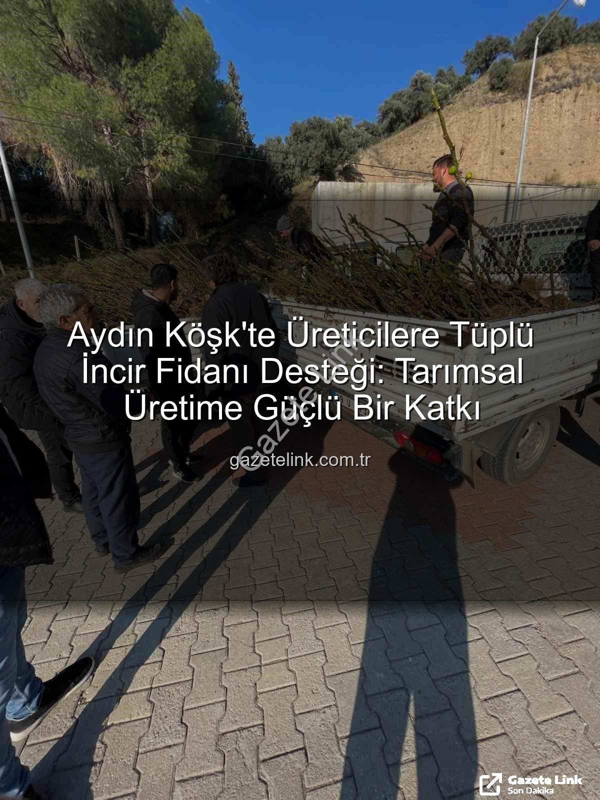 tüplü incir fidanı - Aydın Köşk'te Üreticilere Tüplü İncir Fidanı Desteği: Tarımsal Üretime Güçlü Bir Katkı