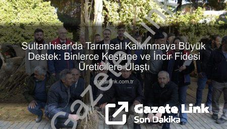 Sultanhisar’da Tarımsal Kalkınmaya Büyük Destek: Binlerce Kestane ve İncir Fidesi Üreticilere Ulaştı