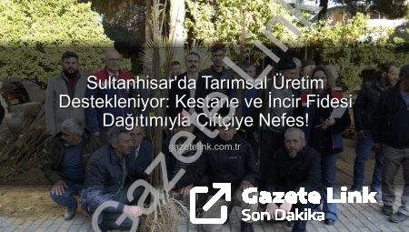 Sultanhisar’da Tarımsal Üretim Destekleniyor: Kestane ve İncir Fidesi Dağıtımıyla Çiftçiye Nefes!