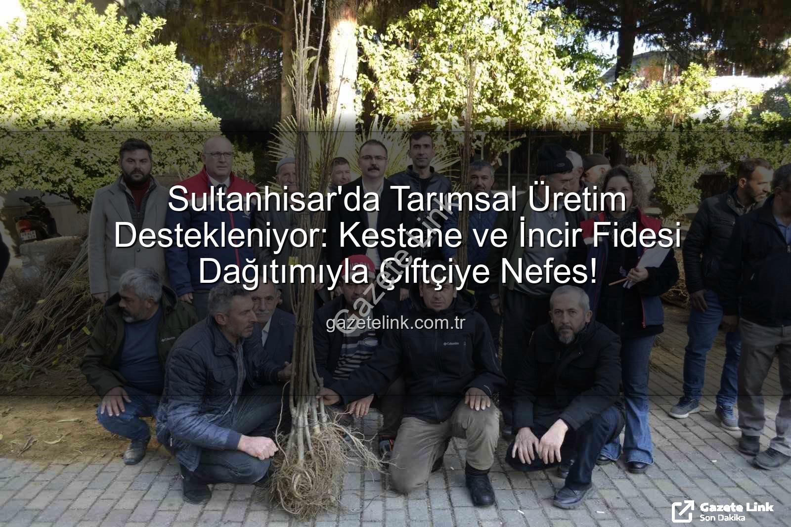 sultanhisar fidan dağıtımı - Sultanhisar'da Tarımsal Üretim Destekleniyor: Kestane ve İncir Fidesi Dağıtımıyla Çiftçiye Nefes!