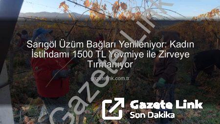 Sarıgöl Üzüm Bağları Yenileniyor: Kadın İstihdamı 1500 TL Yevmiye ile Zirveye Tırmanıyor
