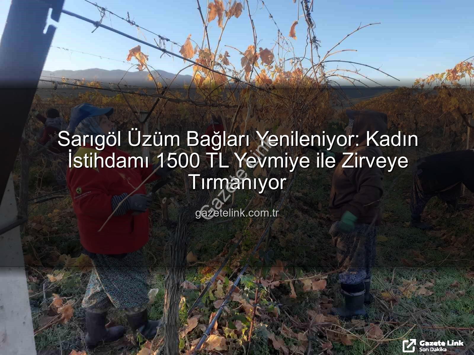 kadın istihdamı - Sarıgöl Üzüm Bağları Yenileniyor: Kadın İstihdamı 1500 TL Yevmiye ile Zirveye Tırmanıyor
