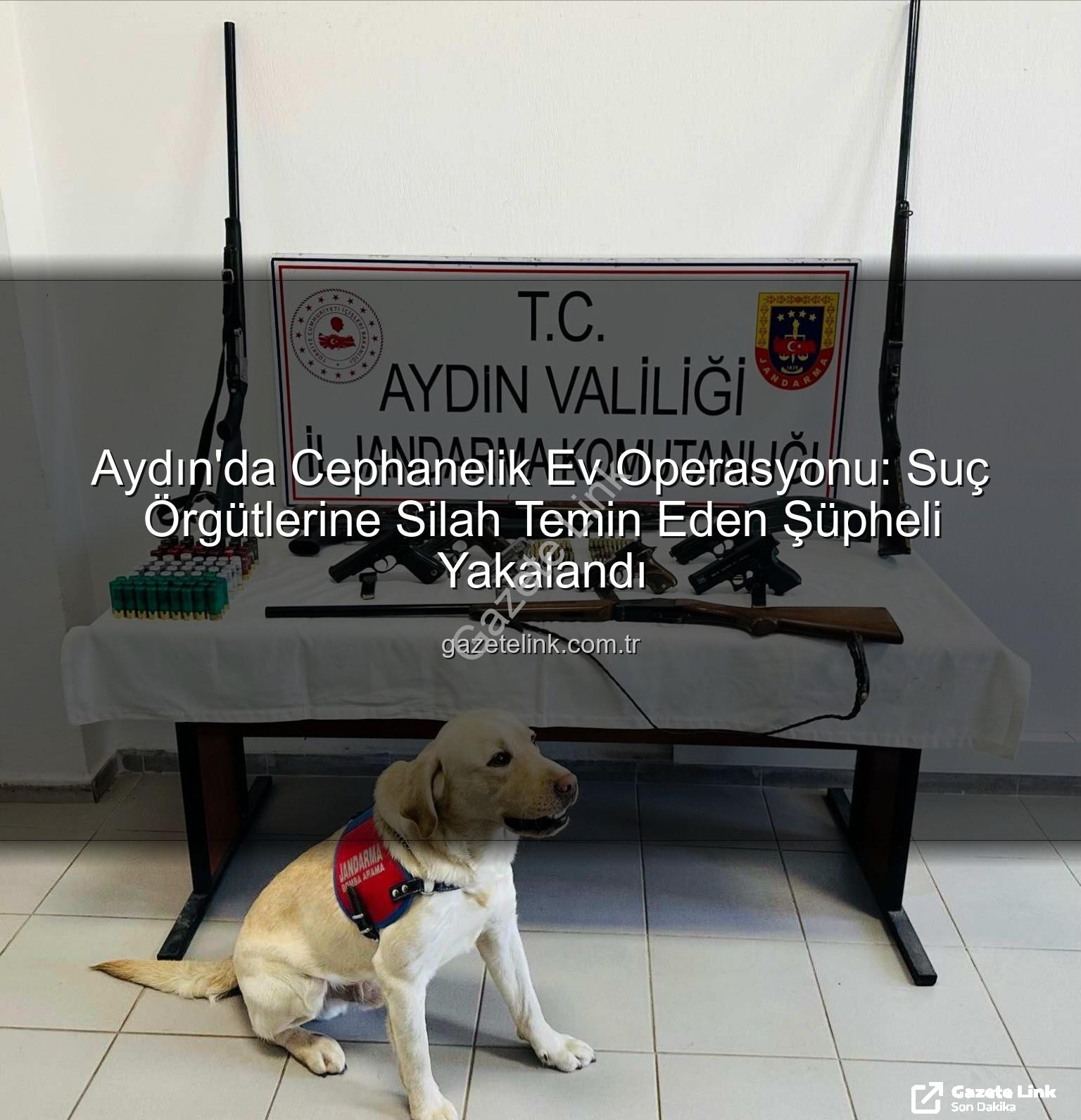 ruhsatsız silah operasyonu - Aydın'da Cephanelik Ev Operasyonu: Suç Örgütlerine Silah Temin Eden Şüpheli Yakalandı