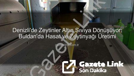 Denizli’de Zeytinler Altın Sıvıya Dönüşüyor: Buldan’da Hasat ve Zeytinyağı Üretimi