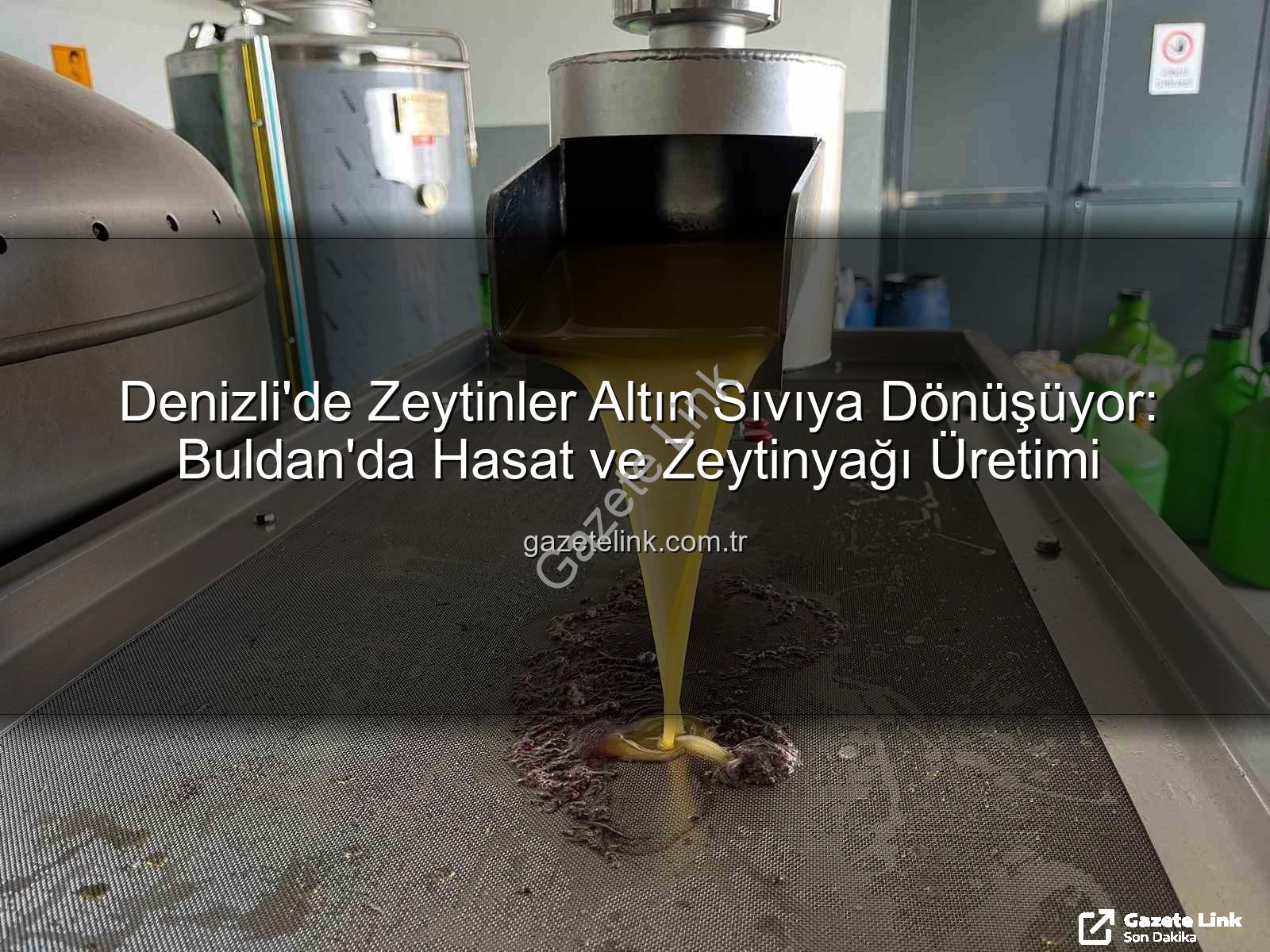 zeytin yağı üretimi - Denizli'de Zeytinler Altın Sıvıya Dönüşüyor: Buldan'da Hasat ve Zeytinyağı Üretimi
