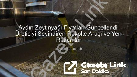 Aydın’da Zeytinyağı Fiyatları Rekolte Düşüşüyle Yükseldi: Üreticinin Yüzü Güldü