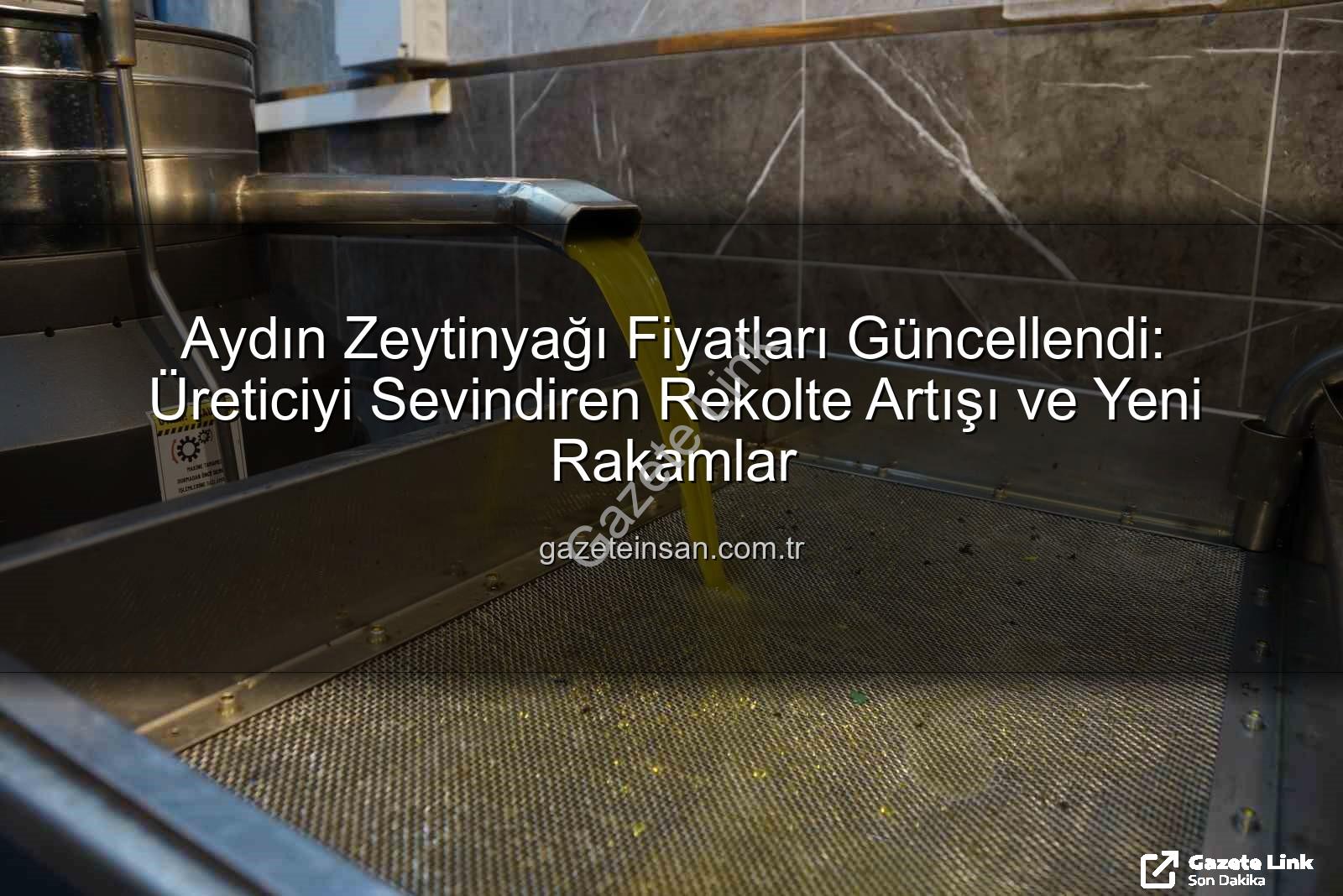 zeytinyağı fiyatları - Aydın'da Zeytinyağı Fiyatları Rekolte Düşüşüyle Yükseldi: Üreticinin Yüzü Güldü