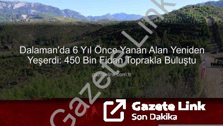 Dalaman’da 6 Yıl Önce Yanan Alan Yeniden Yeşerdi: 450 Bin Fidan Toprakla Buluştu