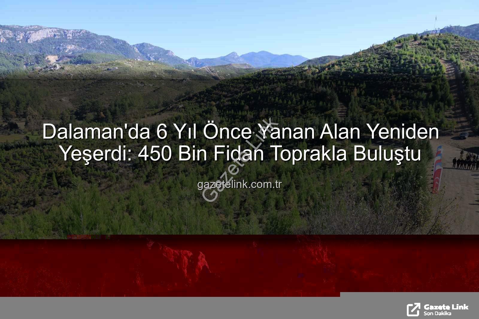 Dalaman yangın alanı - Dalaman'da 6 Yıl Önce Yanan Alan Yeniden Yeşerdi: 450 Bin Fidan Toprakla Buluştu