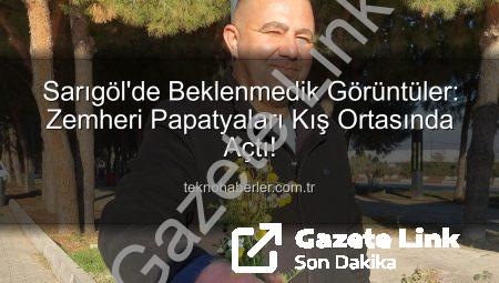 Sarıgöl’de Kışın Ortasında Sürpriz: Zemheri Papatyaları Çiçek Açtı, Çiftçiler Endişeli